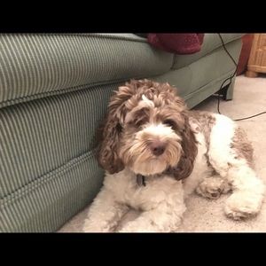 Meet your Posher, Jack